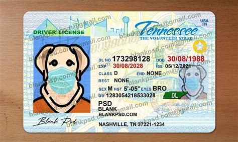 Blank Tennessee Drivers License Template