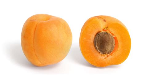 Apricot Wikipedia