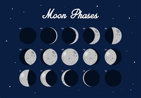 Vector Moon Phase Download Free Vector Art Stock Graphics And Images
