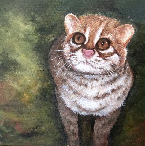 Their skull shape has been bred this way to give them a although most cat breeds have pointed, rounded ears that stand tall and straight, some breeds have ears that are curled to their heads. Flat Headed Cat Painting by Vivien Lin