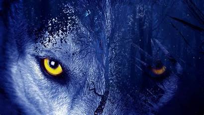Wolf Eyes Wallpapers Artistic Forest