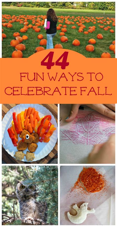 44 Fun Things To Do This Fall Edventures With Kids