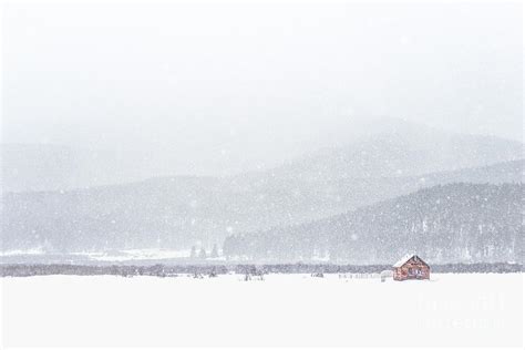 The Rise Of Winter Photograph By Evelina Kremsdorf Fine Art America