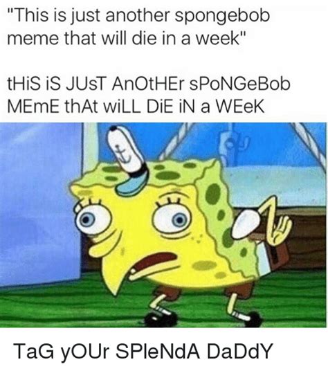 🐸 25 Best Memes About Spongebob Spongebob Memes