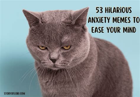 Chronic Anxiety Cat Meme