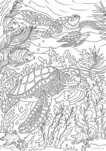 It is vast and ever changing. Pin on Coloring pages