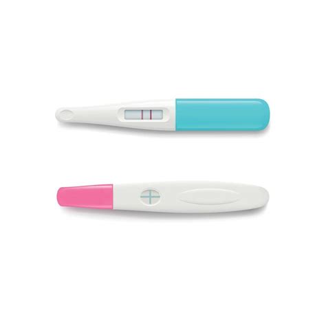 Pregnancy Test Female Negative Positive Test Good Ovulation Feminine