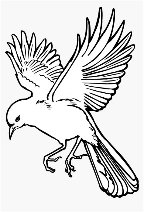 Vector Graphics Flying Bird Line Drawing Hd Png Download