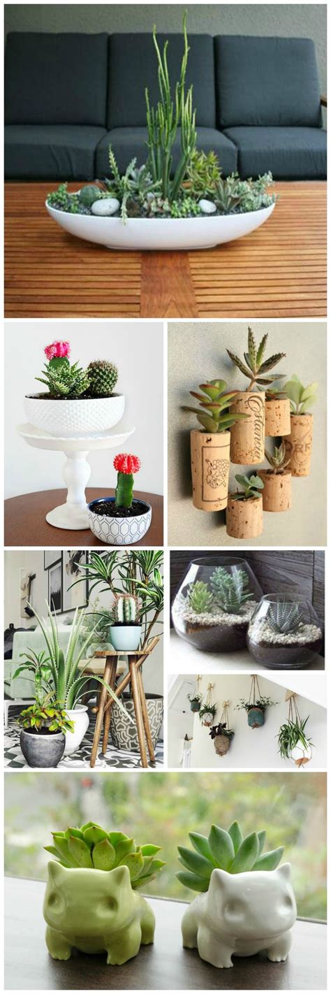 How to get a luxurious looking home on a tighter budget, read now & then shop our store! 20 Cute Indoor Succulent Plant Decor Ideas To Beautify ...