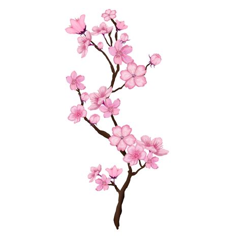 Cherry Blossom in 2020 | Cherry blossom branch, Cherry ...