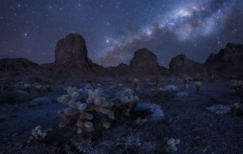 Wallpaper The Sky Stars Mountains Night Rocks Desert Cacti The
