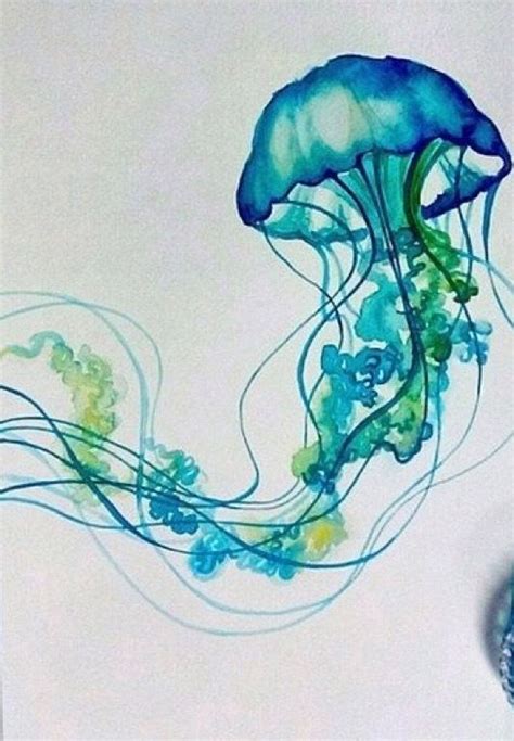 Pin By Claudia On Jellyfish Watercolor Jellyfish Jellyfish Drawing