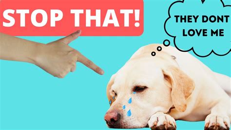 10 Ways You May Be Hurting Your Dog Without Knowing It Youtube