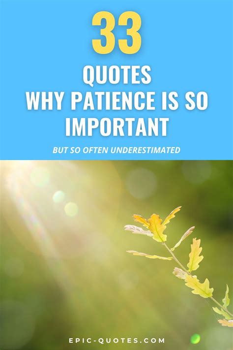 33 Quotes Why Patience Is So Important But So Often Underestimated