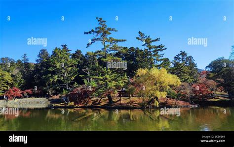 Autumn View Of Kagami Ike Mirror Pond With Itsukushima Shrine Among