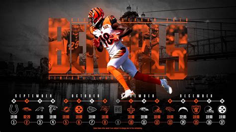 Top 999 Cincinnati Bengals Wallpaper Full Hd 4k Free To Use