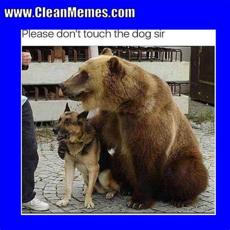 If you thought you couldn't possible love dogs anymore, this might prove you wrong. Pin by Clean Memes on Clean Memes | Funny animals, Cute ...