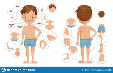 Boy Body Stock Illustration Illustration Of Cartoon 126901442