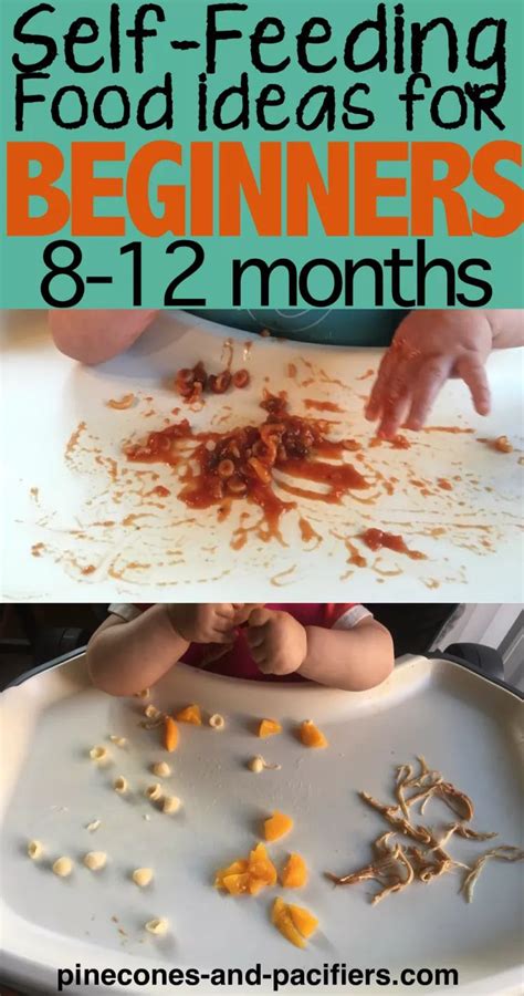 Organic food baby von verschiedenen shops. Self-Feeding ideas for 8-12 Month Olds | 9 month old baby ...