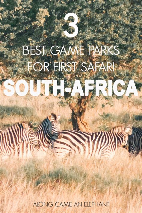 The 3 Best South African Game Parks For Your First Safari South Africa