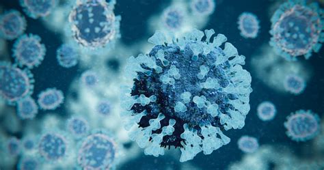 Parainfluenza Virus Type 3 Lysate The Native Antigen Company