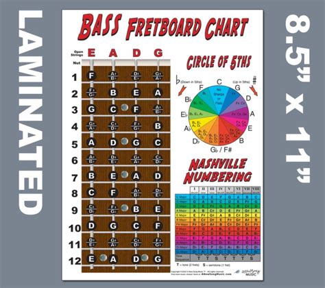 String Bass Fretboard Instructional Chart Poster Nashville Numbering My Xxx Hot Girl