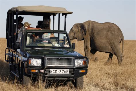 Safari Vehicles For Hire East Africa Safari Ventures