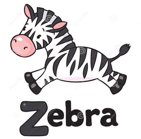 Zebra Dreamstime Zebras Lettering Alphabet Zebra