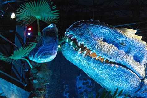 „jurassic World“ Im Odysseum Das Bietet Die Neue Dino Ausstellung In Köln Rundschau Online