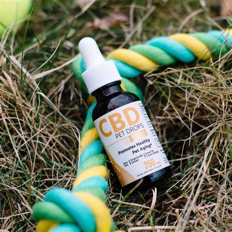 Cbd Pet Drops For Sale Hempure Cbd