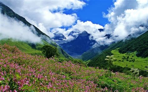 Valley Of Flowers Best Trekking And Nature Destinations In India