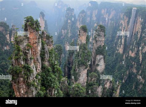 Zhangjiajie The „avatar“ Mountain In Hunan Province In China Hidden In
