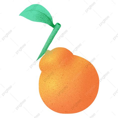 Orange Flat Noise Hand Painted Illustration Fruit Orange Orange Ugly