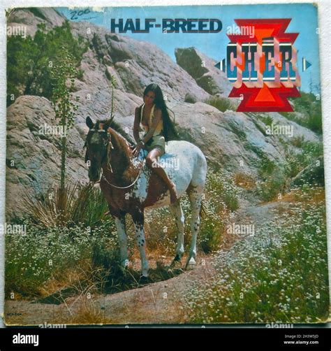 1970s Cher Half Breed Lp Vintage Vinyl Record Album 1 Original Vinyl