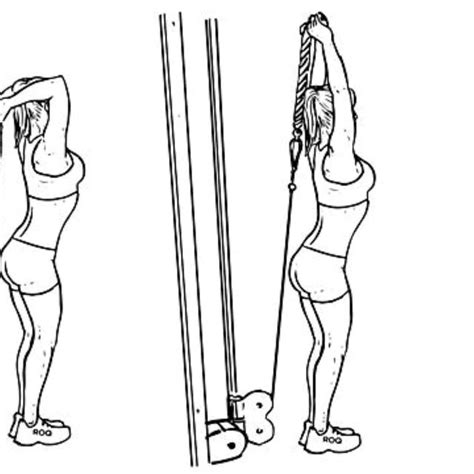 Cable Overhead Tricep Extension By Tabitha Moore Exercise How To