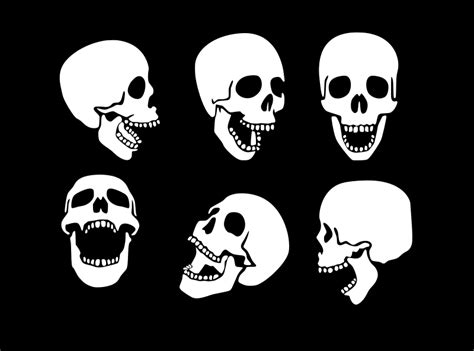 Human Skulls Openclipart