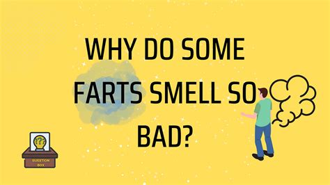 Why Do Some Farts Smell So Bad The Reason And Tips To Avoid Future