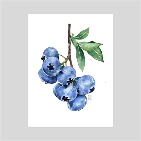 Blueberry Branch In Watercolor An Art Print By Luli Reis In Art