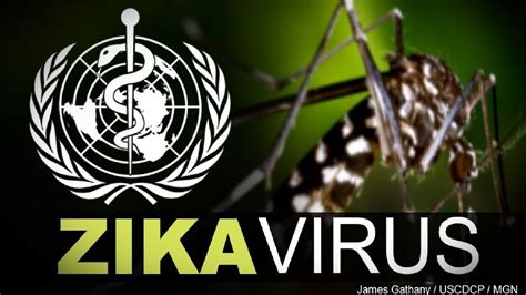 Cdc Confirms Second Case Of Zika Virus In Arkansas
