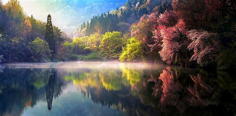Hd Wallpaper Lake Sunrise Mist Reflection Spring Trees Water Nature