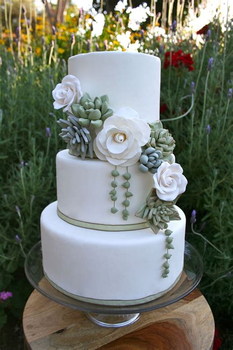 Succulent Wedding Cake Cakes And Cupcakes Pinterest