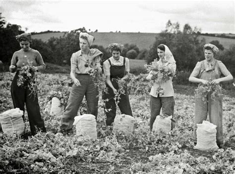 the women who took care of farming during wwii interesting photos show the lives of the womens
