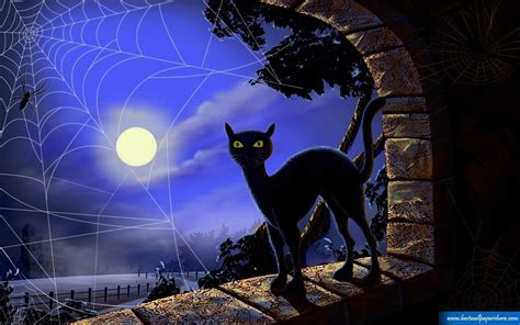 Halloween Black Cats Wallpapers Wallpaper Cave
