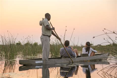 Poled Along At Sunset On A Mokoro Okavango Delta Botswana Africa Travel Safari
