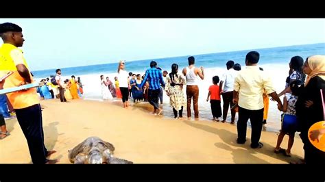 Chennai Marina Beach ⛱️ Youtube