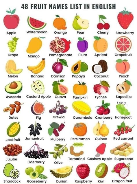 48 Fruits Names In English With Pictures