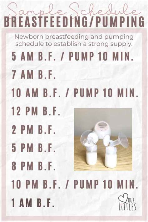 Breastfeeding And Pumping Schedule A Complete Beginner S Guide Love Our Littles®