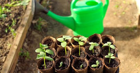 5 of the best and most useful hacks for gardening