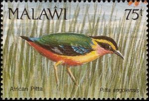 Stamp African Pitta Pitta Angolensis Malawi Birds Mi MW 597 Sn MW