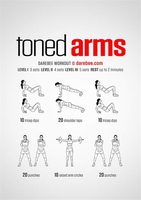 Toned Arms Workout Effective Workout Plan Beginner Workout At Home